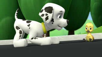Assistir Patrulha Canina Online