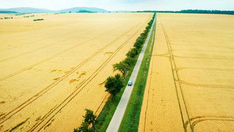 Galeria 5 - Goodbye Berlin