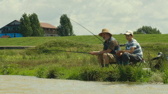 Cărturan media image