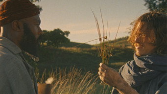 #7 Harvest