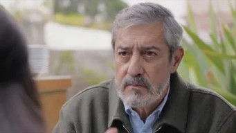 Episode 25 — "Ataque en el parque"