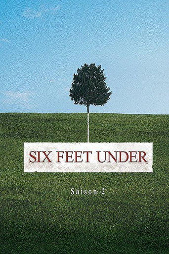 Six Feet Under - S2 - Épisode 2 : La vie ne tient qu'à un fil - Affiche