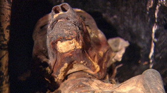 The Mysterious Mummified Dogs of Ancient Egypt (2020)