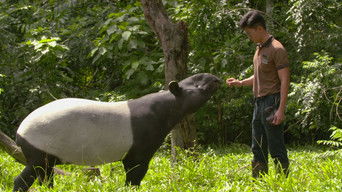 Cena de Estranhos, mas mega fofos