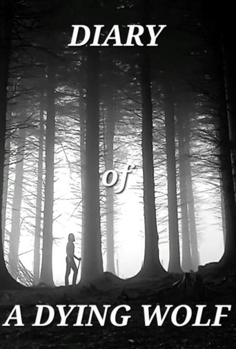 Diary Of A Dying Wolf poster