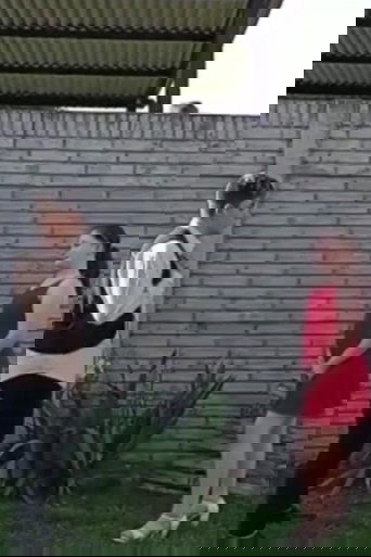 Romeo Y Julieta El Mejor Video De La Historia poster