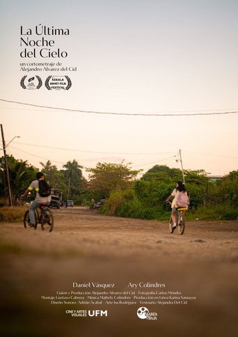 Poster 3