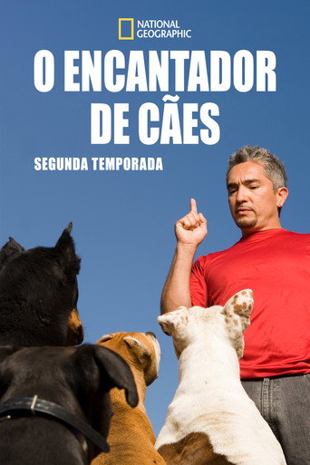 O Encantador de Cães - Temporada 2