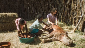 Thabo and the Rhino Case (2023)
