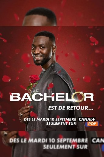 The Bachelor - Afrique: Season 3