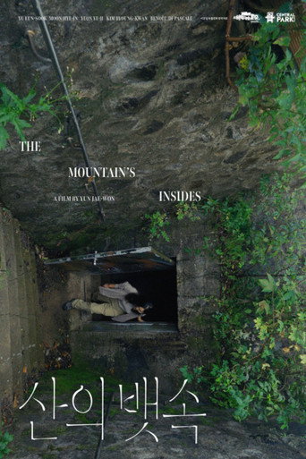 The Mountain’s Insides movie poster