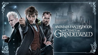 Cena de Animais Fantásticos: Os Crimes de Grindelwald