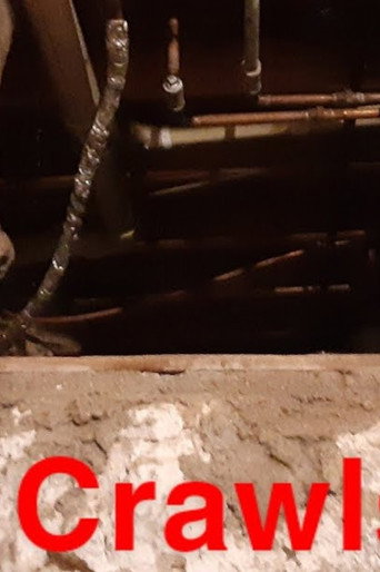 The Crawlspace (2021)