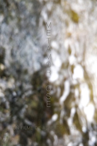 Metamorphosis — Posters 2