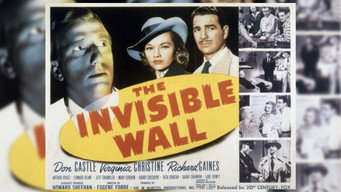 #9 The Invisible Wall