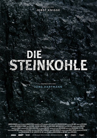 Die Steinkohle: II: Ende einer Ära
