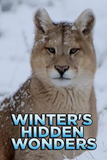 Winter's Hidden Wonders: Season 1
