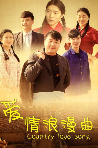 爱情浪漫曲 poster
