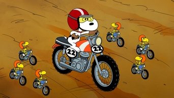 Cena de Fale com calma e leve um beagle