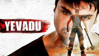 #13 Yevadu