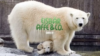 Eisbär, Affe & Co. (2006-2017)