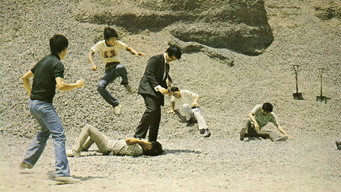 The Iron Hero (1973)