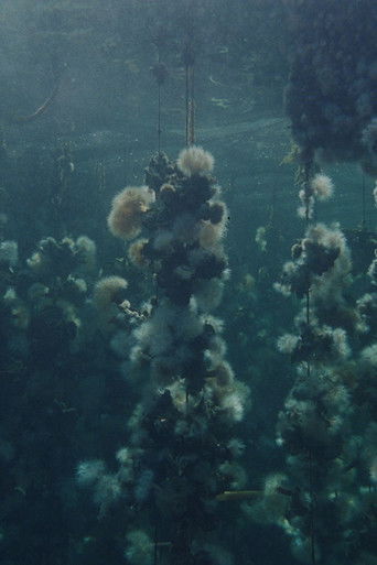 Concrete Turned to Sand (2026年)のポスター画像 - FindKey