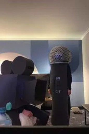 Bild und Ton gehen Auseinander