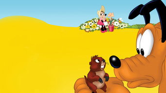 Pluto and the Gopher (1950)