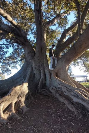 Arjun Vihaan — photo 12