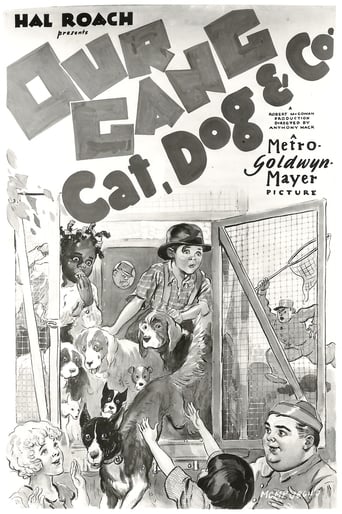 Poster för Cat, Dog & Co.
