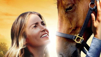 Galeria 2 - A Sunday Horse