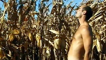 Too Much Flesh (2000)