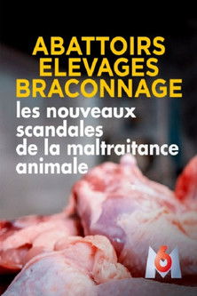 Abattoirs, élevages, braconnage, les nouveaux scandales de la maltraitance animale poster