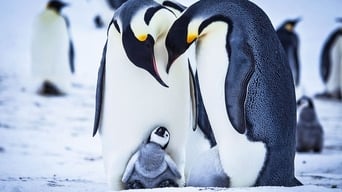 #1 Snow Chick: A Penguin's Tale