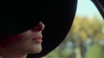 #4 The Exquisite Cadaver