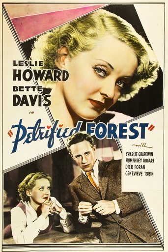 The Petrified Forest Poster