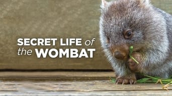 Secret Life of the Wombat (2016)