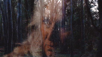 Galeria 3 - All You Need Is Death