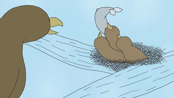 Episode 7 — Episode 7