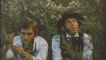 Бакенбарди (1990)