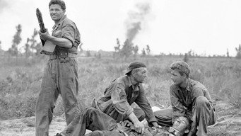 #8 Повітряні сили