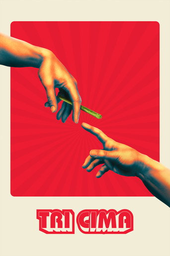 Poster 4