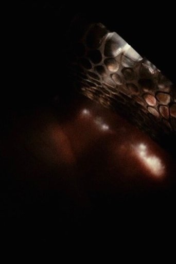 Through Veiled Seasons (1970)