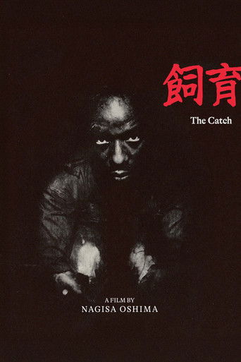 The Catch poster 3