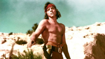 #18 Apache