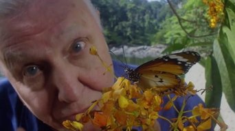 La conquista de los cielos de David Attenborough - S0E01