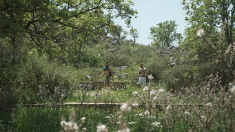 #17 Orpheus' Song