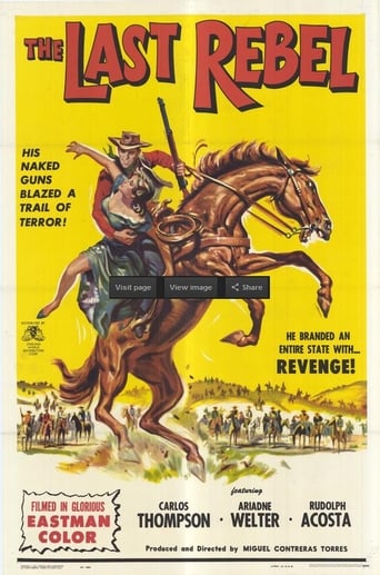 Poster of The Last Rebel