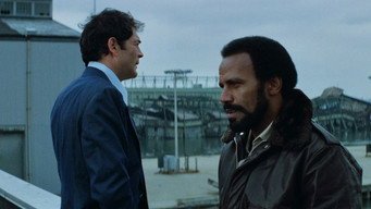 #19 Карателі